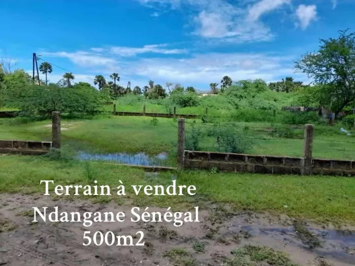 Terrain à Ndangane en vente