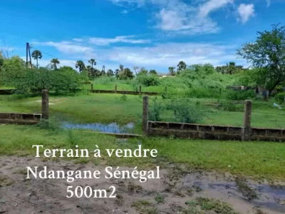 Terrain à Ndangane en vente